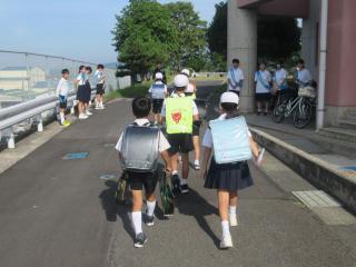 IMG_8835(2)-thumb-320xauto-128229.jpg