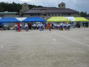 IMG_8850.JPG_1-thumb-300xauto-21300.jpg