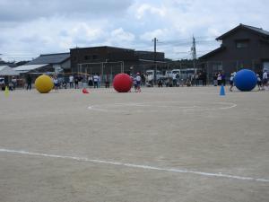 IMG_8948-thumb-300xauto-21320.jpg