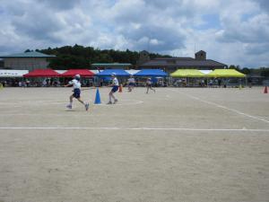 IMG_8962-thumb-300xauto-21322.jpg