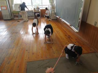 IMG_9061-thumb-320xauto-130265.jpg