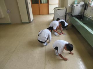 IMG_9066-thumb-320xauto-130268.jpg
