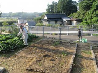 IMG_9231-thumb-320xauto-133361.jpg