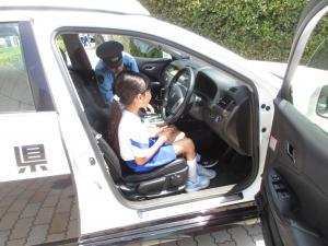 IMG_9295.JPG_1-thumb-300xauto-25594.jpg