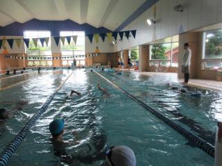 IMG_9527-thumb-320xauto-136225.jpg