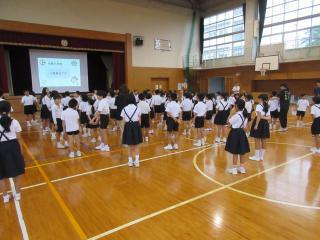 IMG_9688-thumb-320xauto-138732.jpg