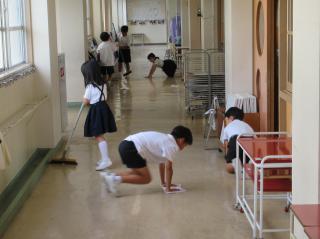 IMG_9716(2)-thumb-320xauto-139152.jpg