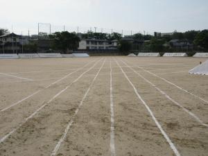 IMG_8842.JPG