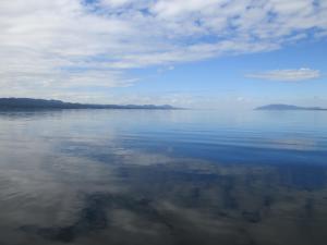 IMG_7785.JPG