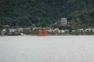 DSC06447.JPG