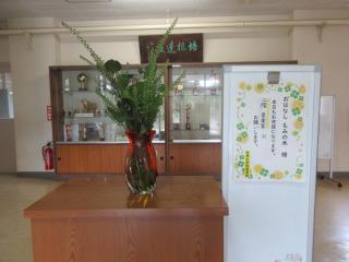 IMG_9873.JPG
