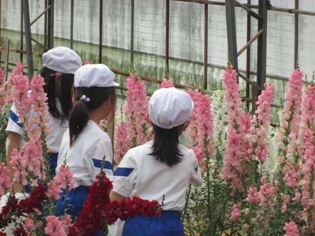 確定IMG_1246.JPG