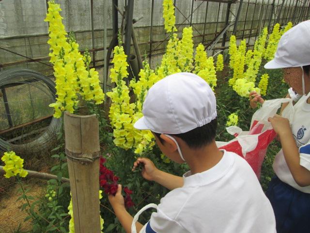 修正IMG_1228.jpg