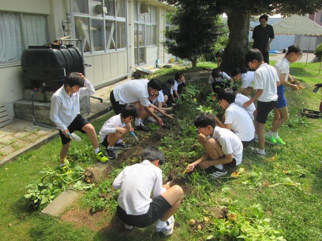 編集IMG_1400.jpg