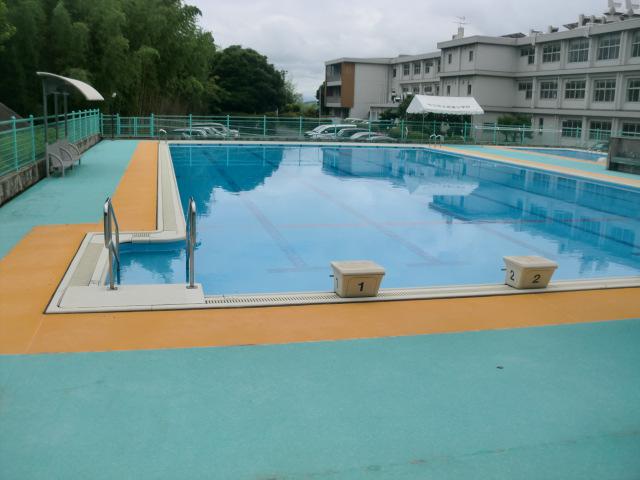 プール