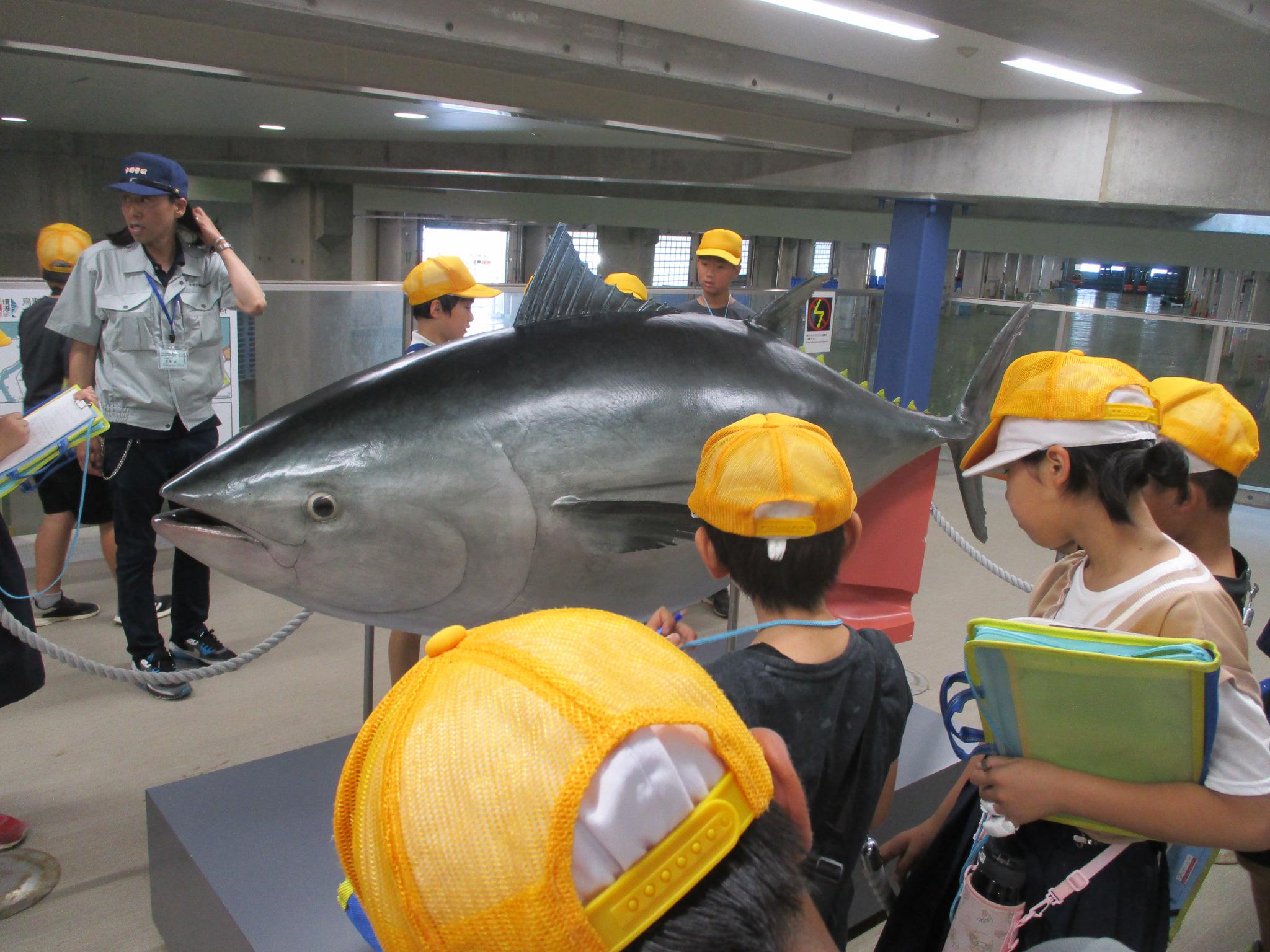 IMG_8502 - コピー.JPG