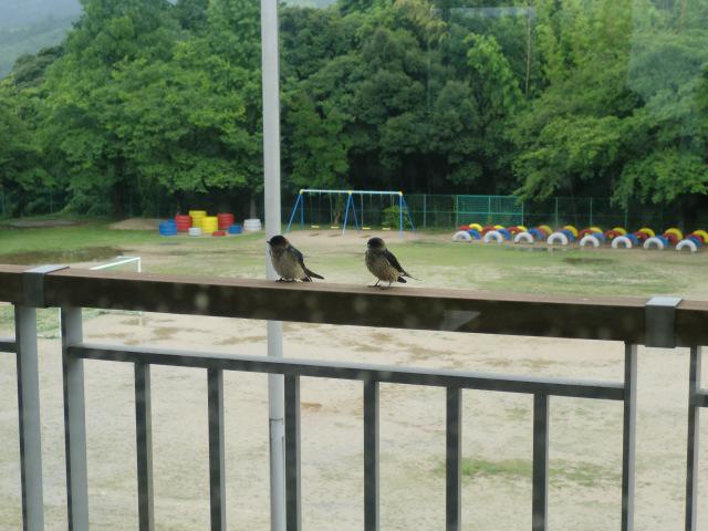 CIMG0035.JPG