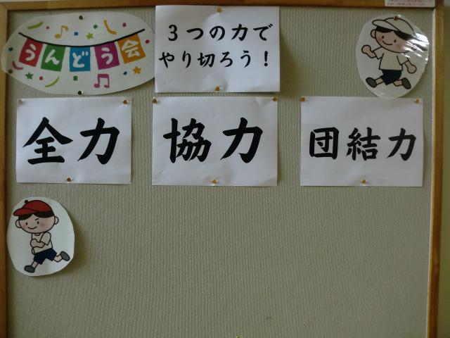 CIMG0253.JPG