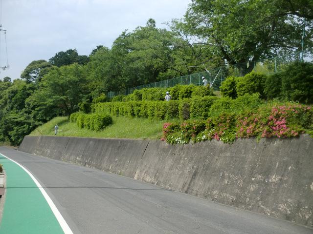 CIMG0441.JPG