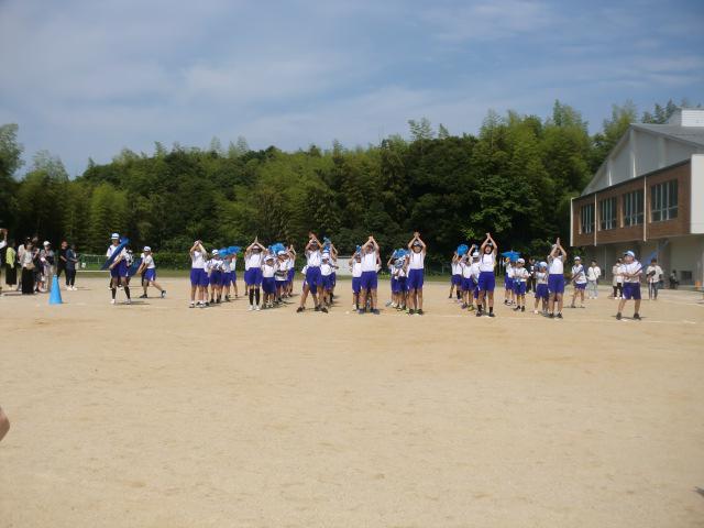 CIMG0482.JPG