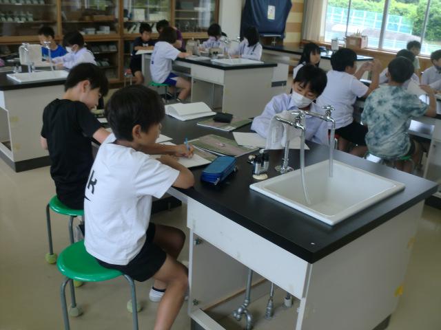 CIMG0500.JPG