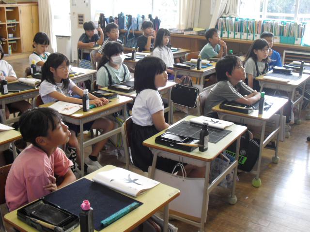 CIMG1170.JPG