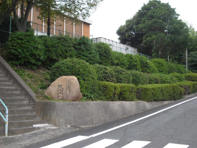 CIMG1503.JPG