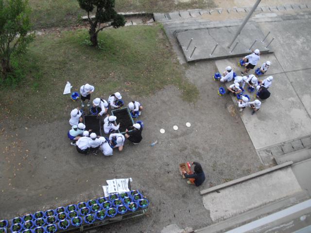 CIMG1623.JPG