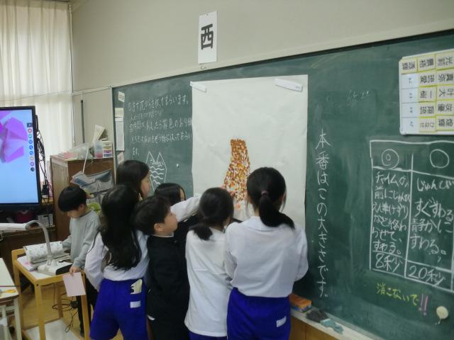 CIMG2617.JPG