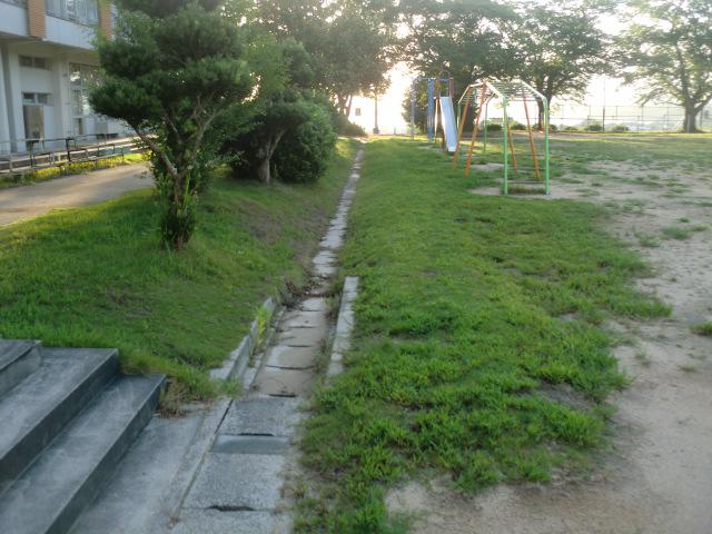 CIMG9976.JPG