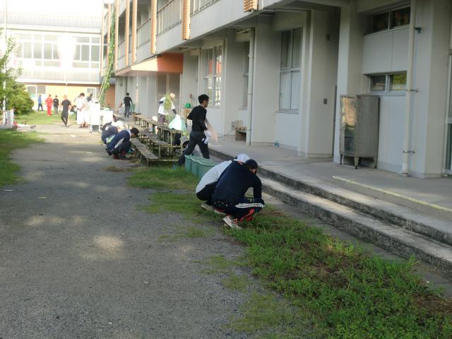 CIMG9986.JPG