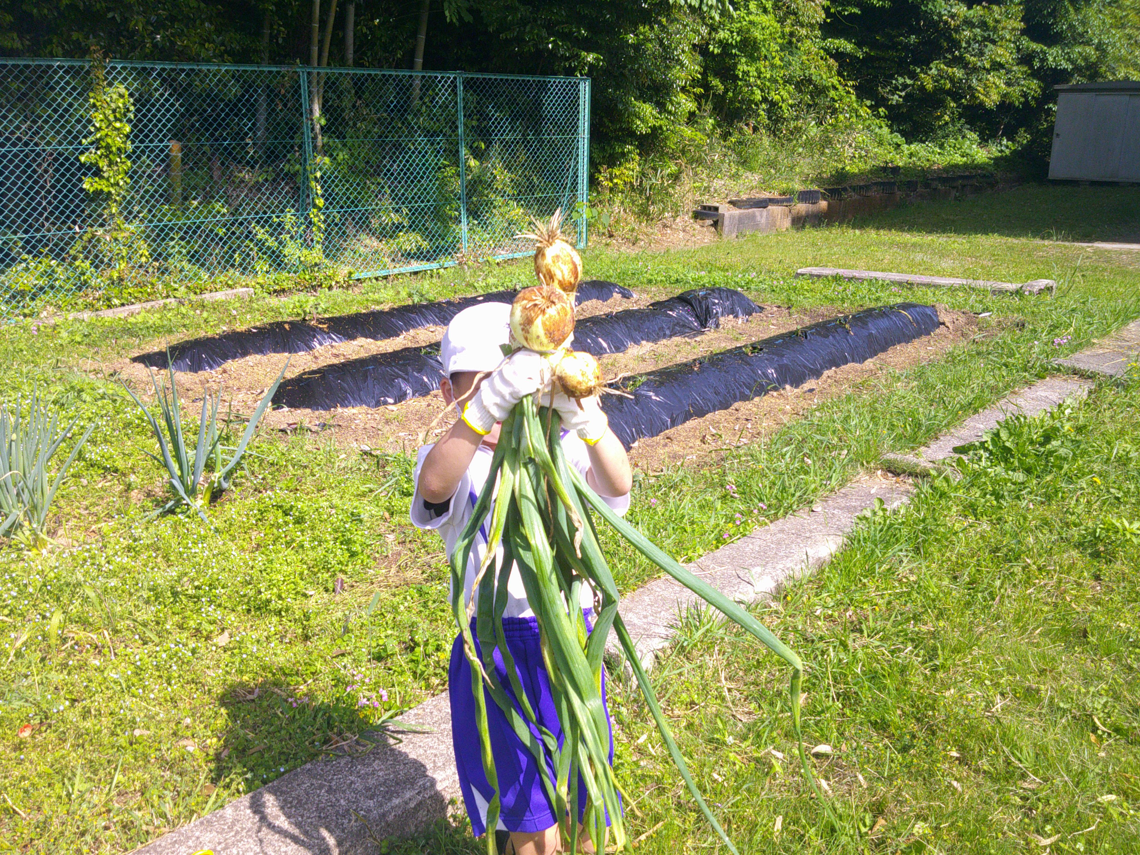 DSCF0003.JPG