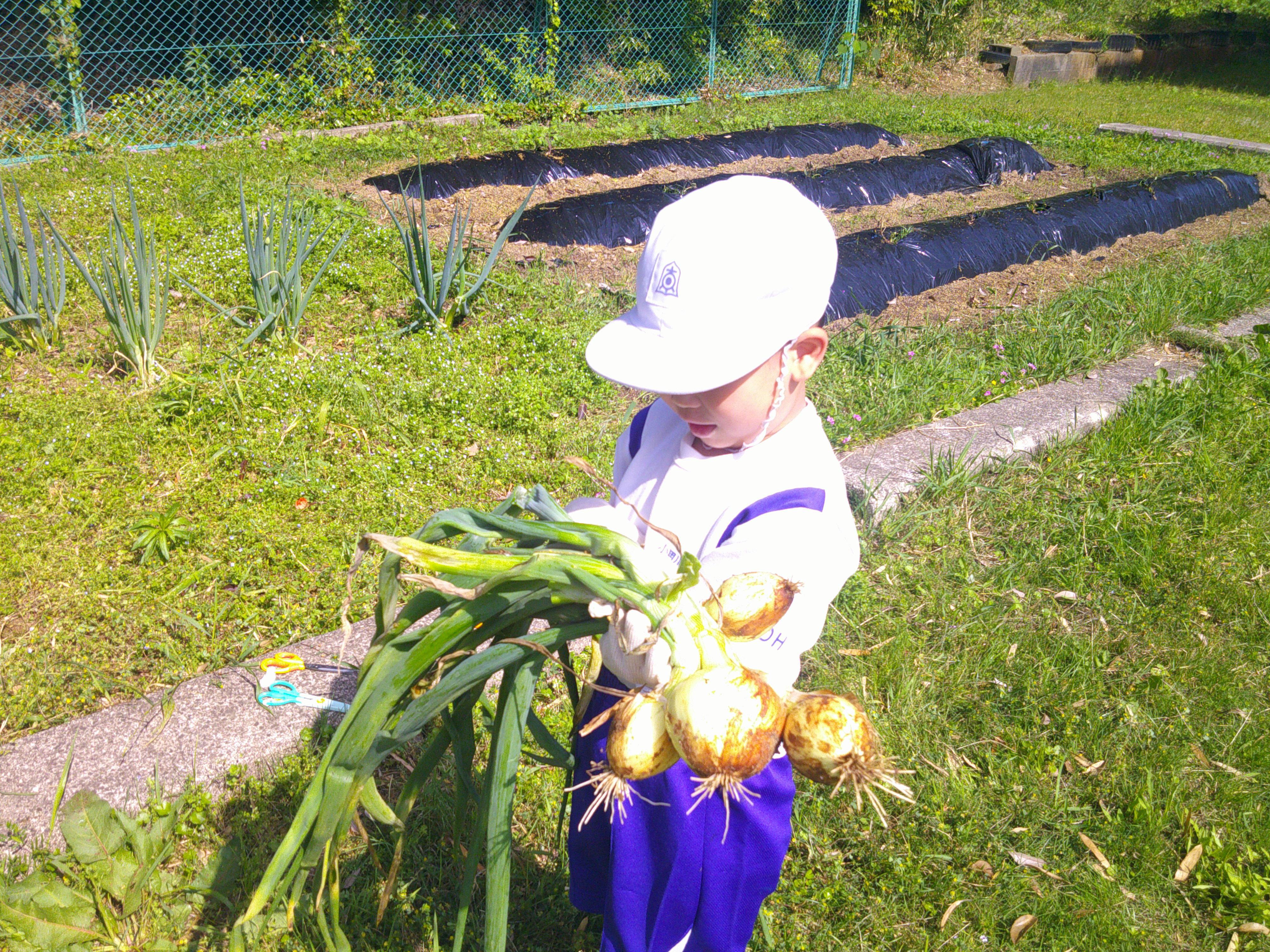 DSCF0004.JPG