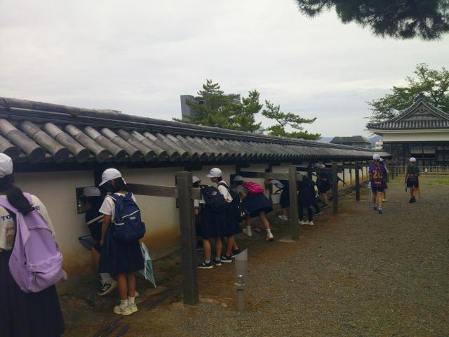 DSCF0014.jpg