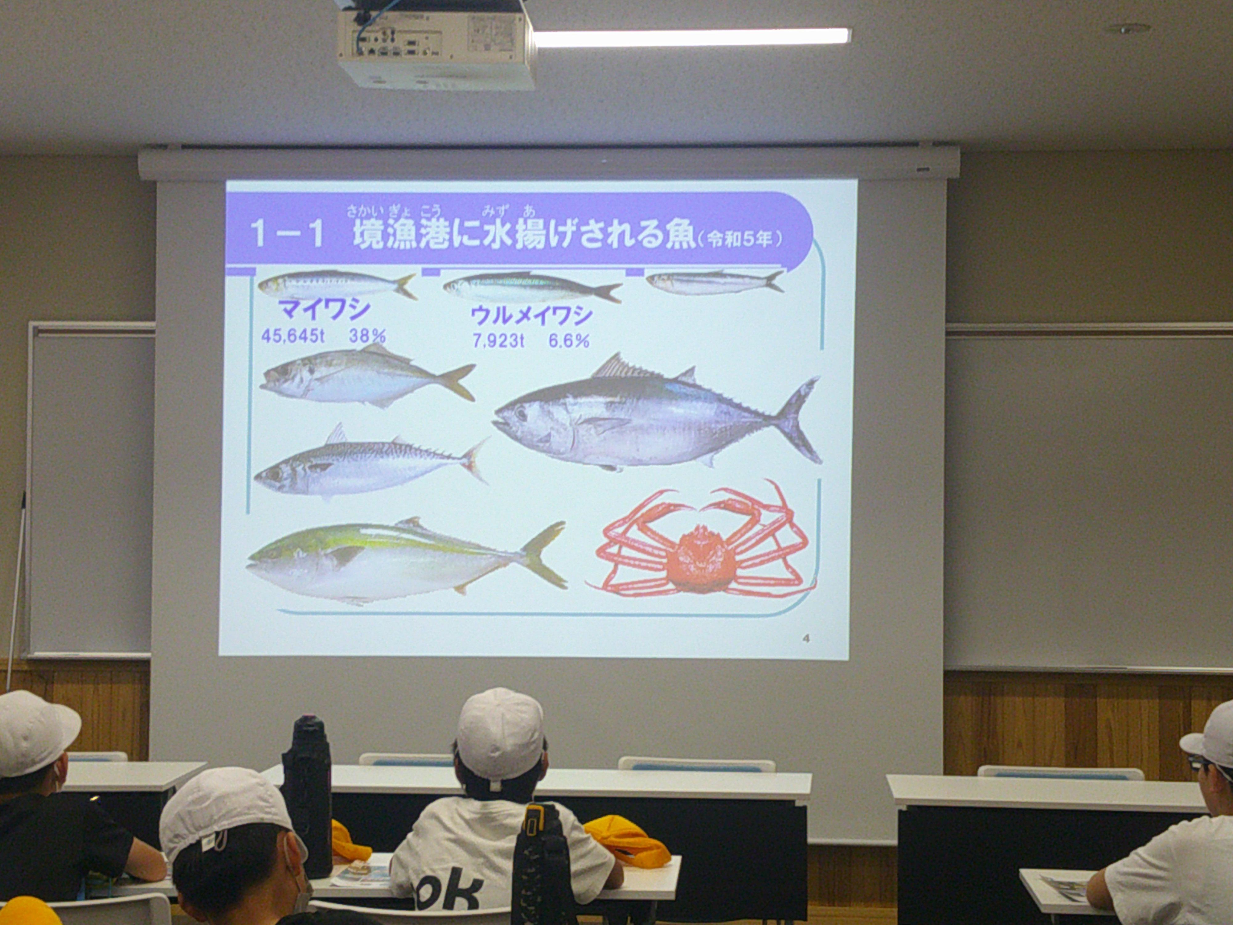 DSCF0341.JPG