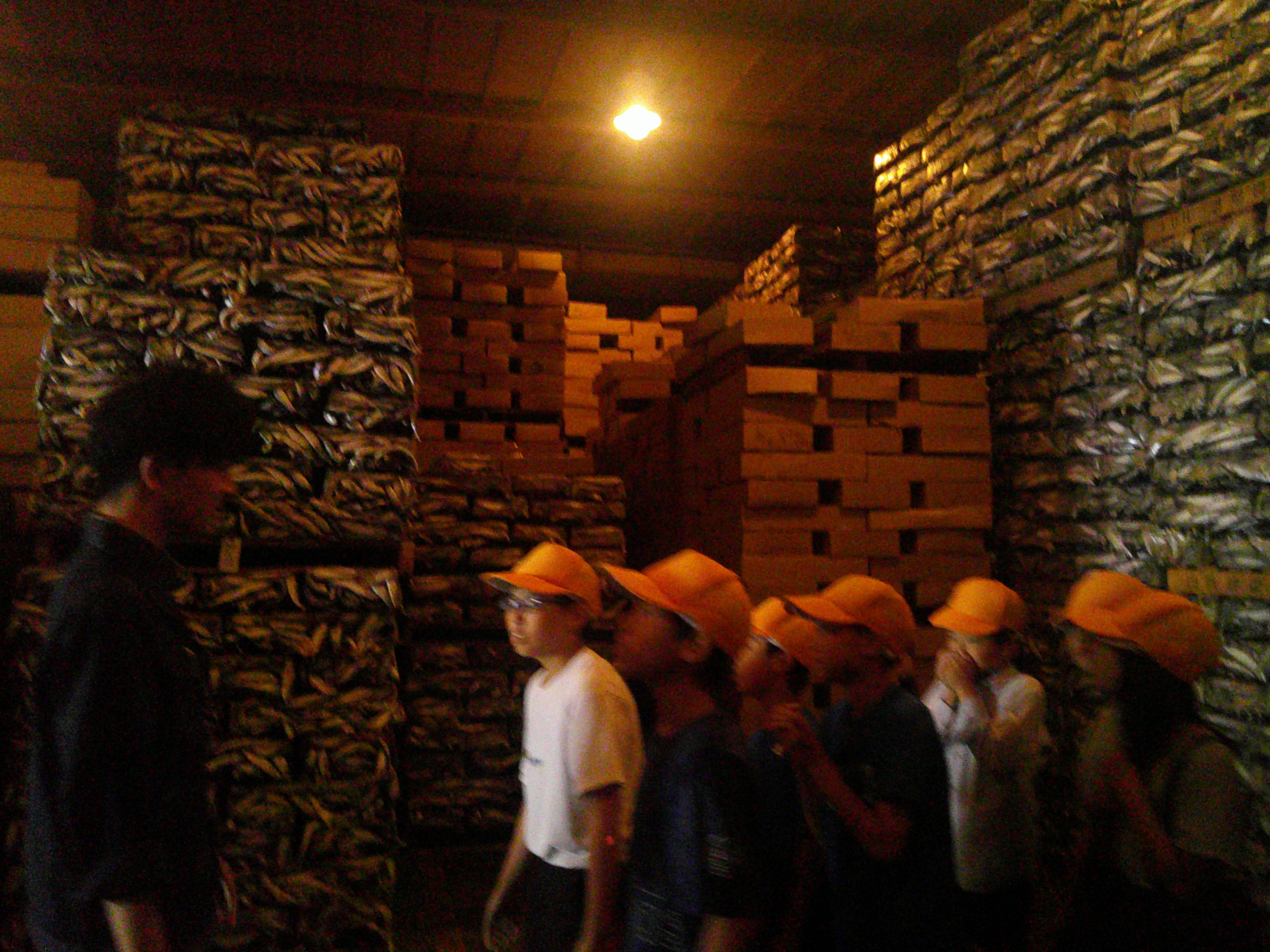 DSCF0421.JPG