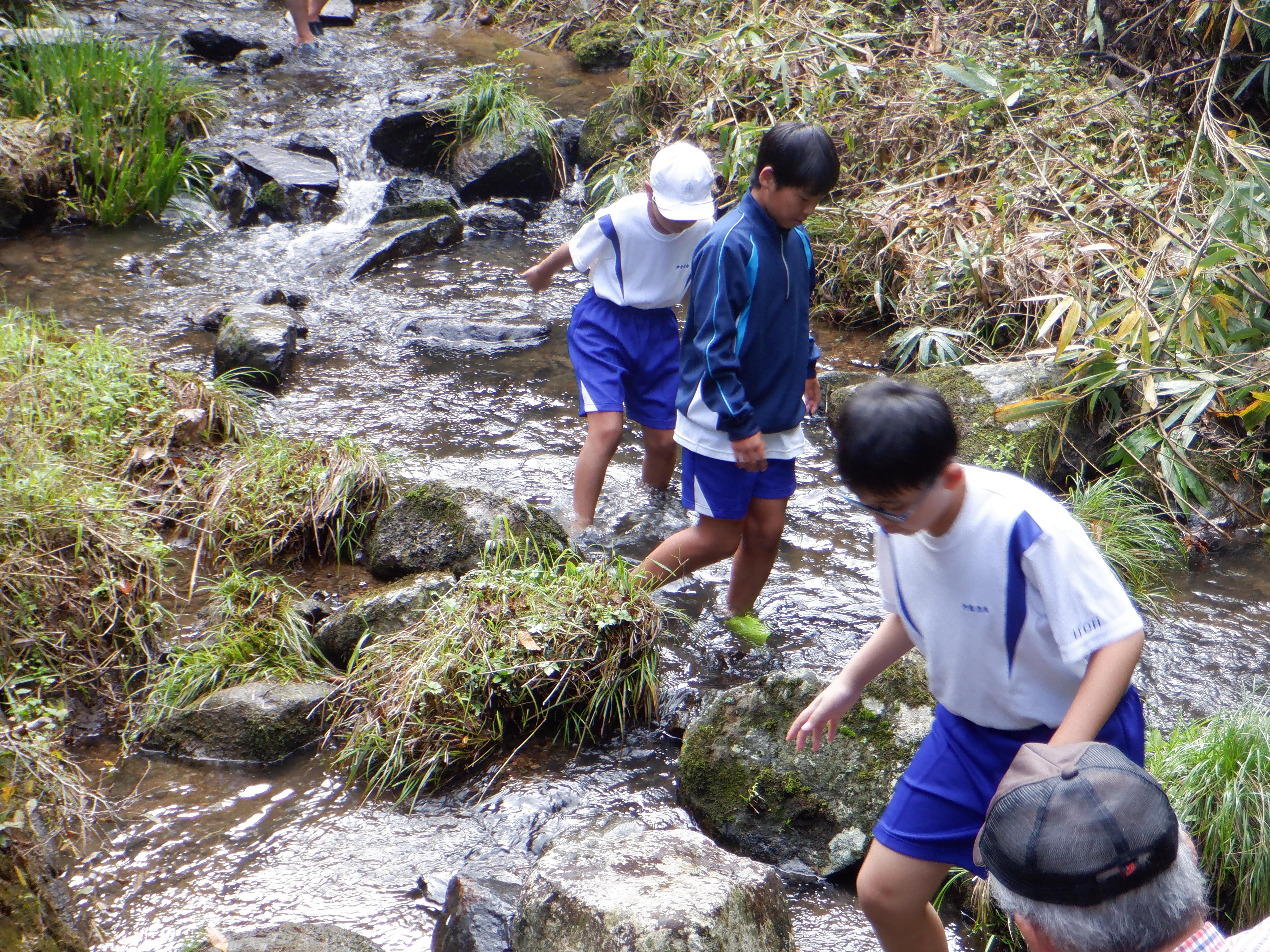 DSCF6065.JPG