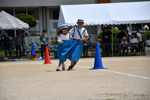 DSC_0211.jpg