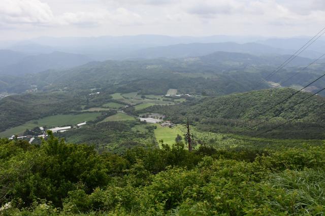DSC_1632.jpg