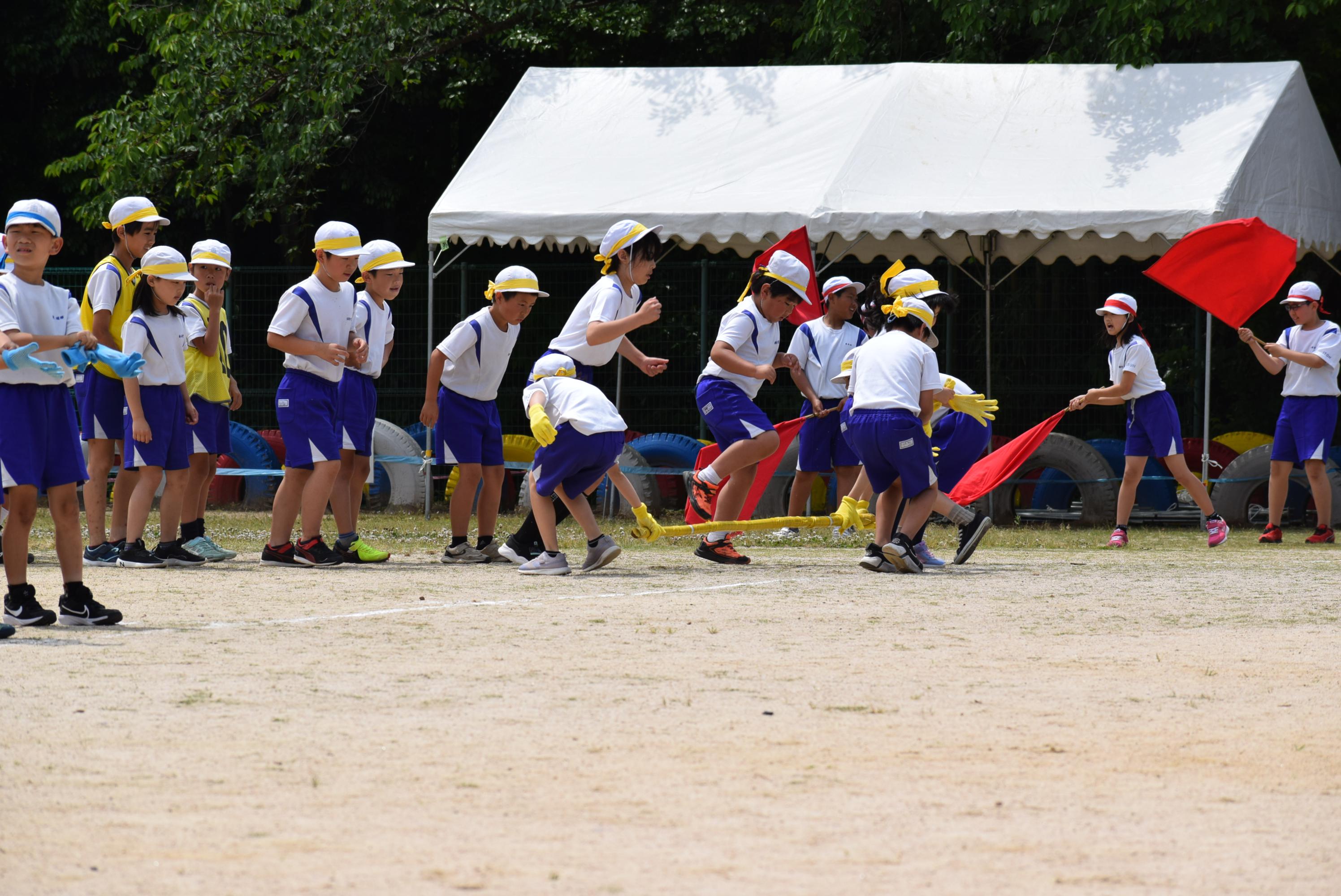DSC_1951.JPG