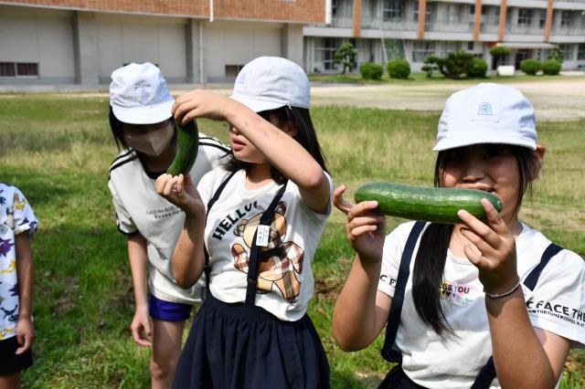 DSC_2094.jpg