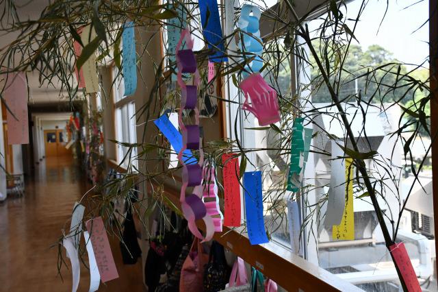 DSC_2381.jpg