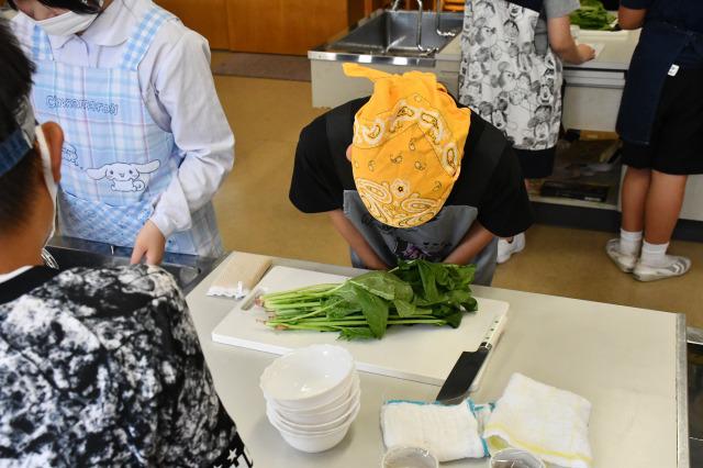 DSC_2842.jpg