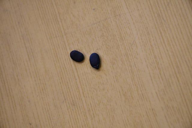 DSC_2201.jpg