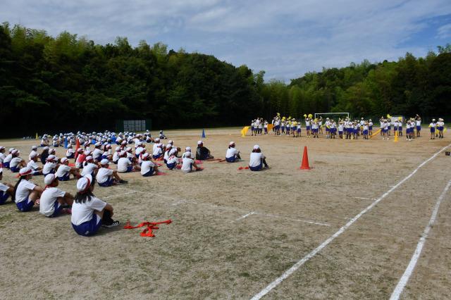 DSC_3896.jpg
