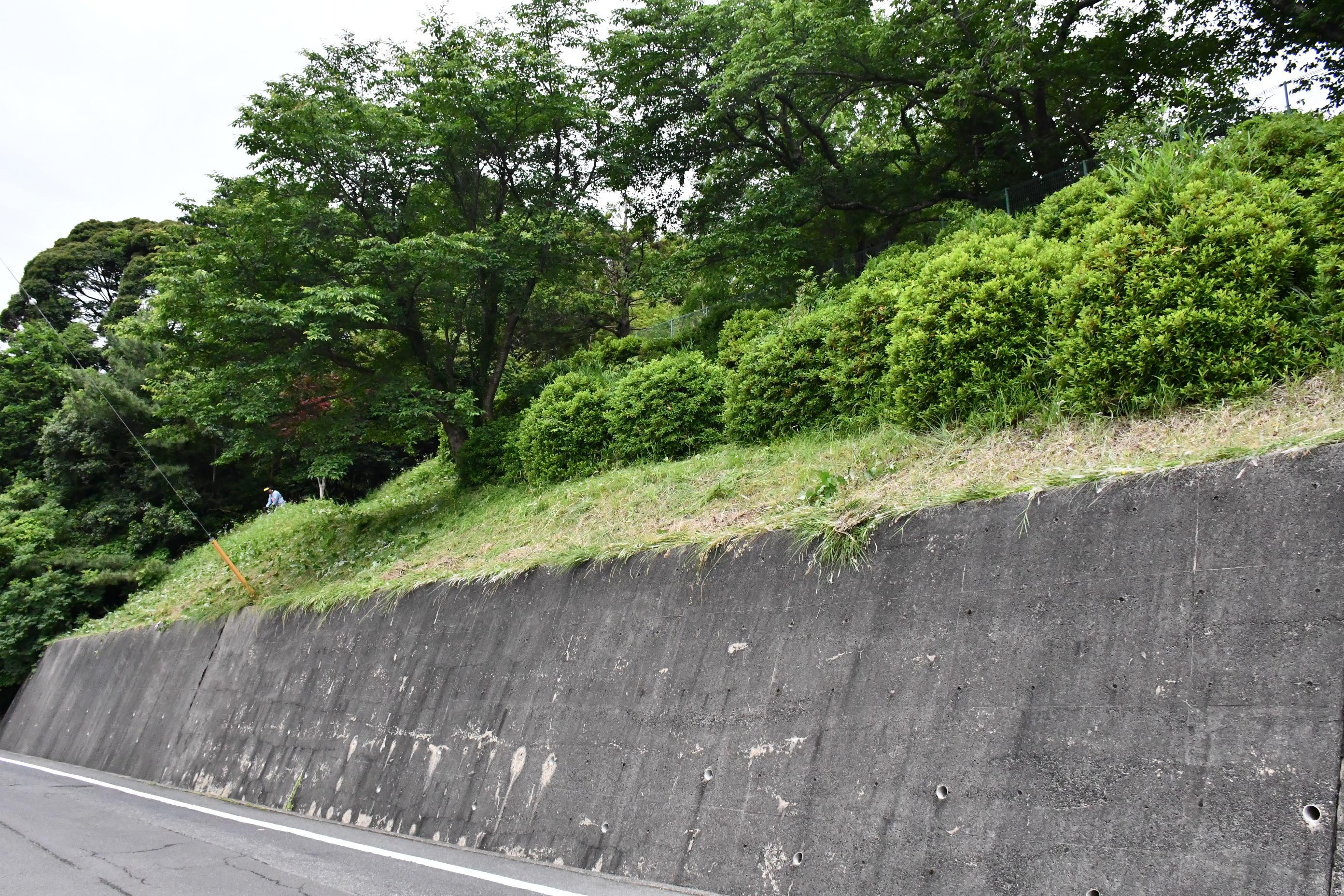 DSC_3954.JPG