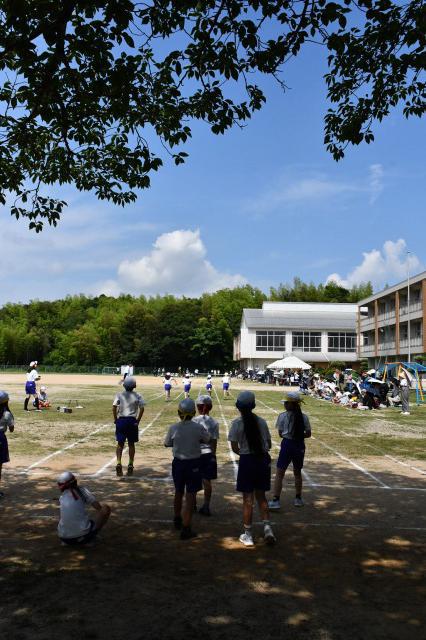 DSC_4152.jpg