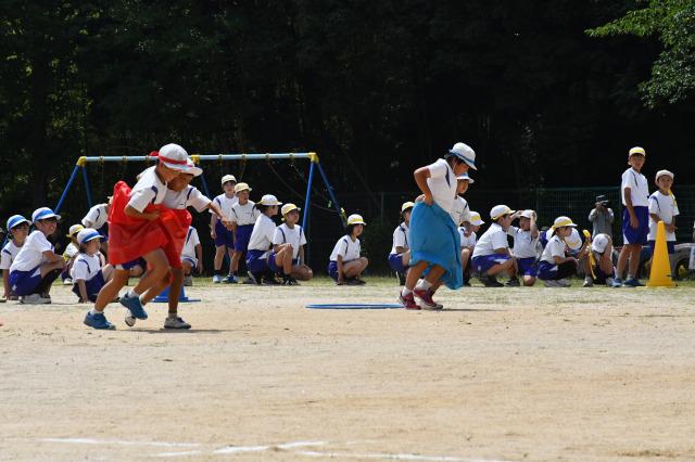 DSC_4335.jpg