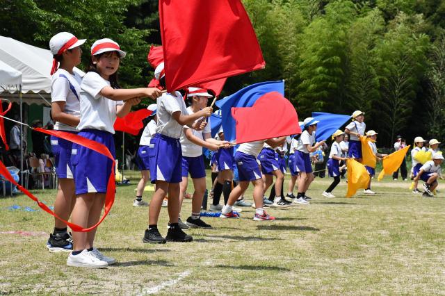 DSC_4372.jpg