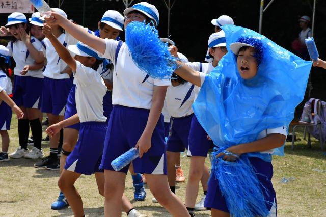 DSC_4393.jpg